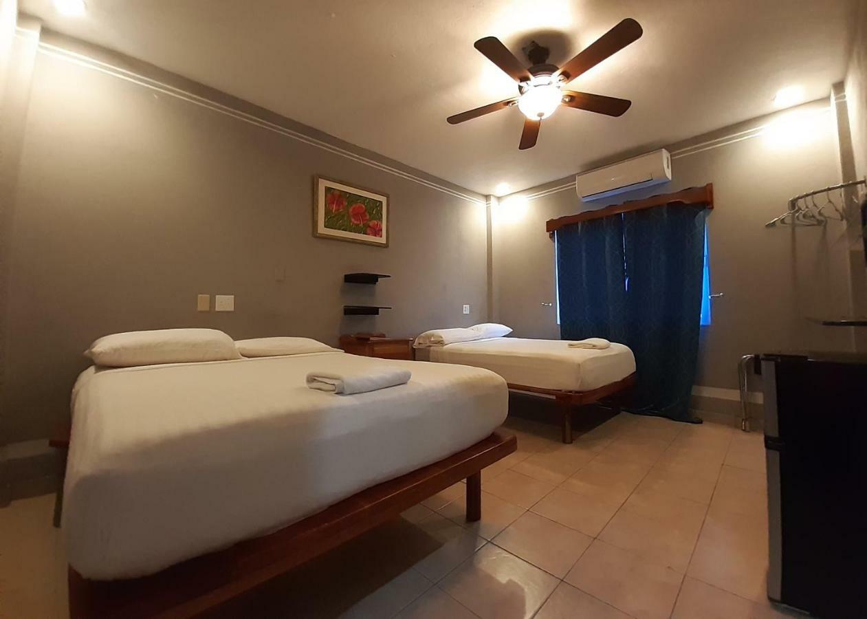 Maya Bella Downtown Hotel 圣伊格纳西奥 外观 照片