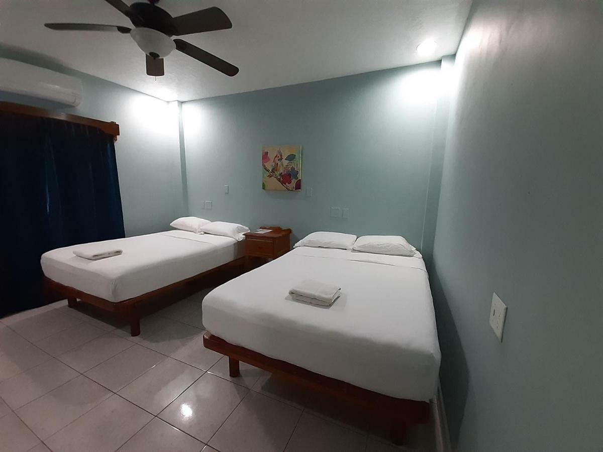 Maya Bella Downtown Hotel 圣伊格纳西奥 外观 照片