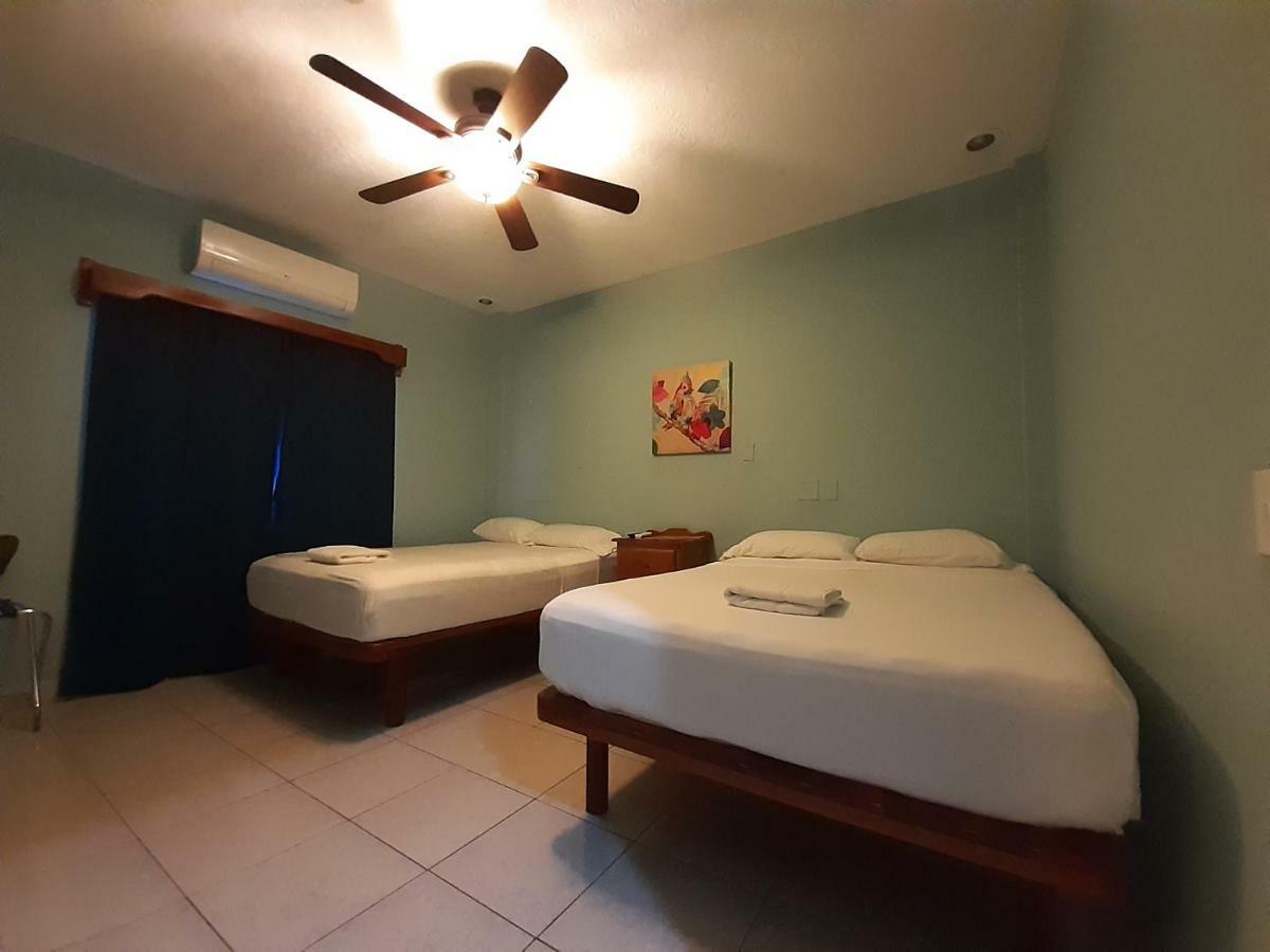 Maya Bella Downtown Hotel 圣伊格纳西奥 外观 照片