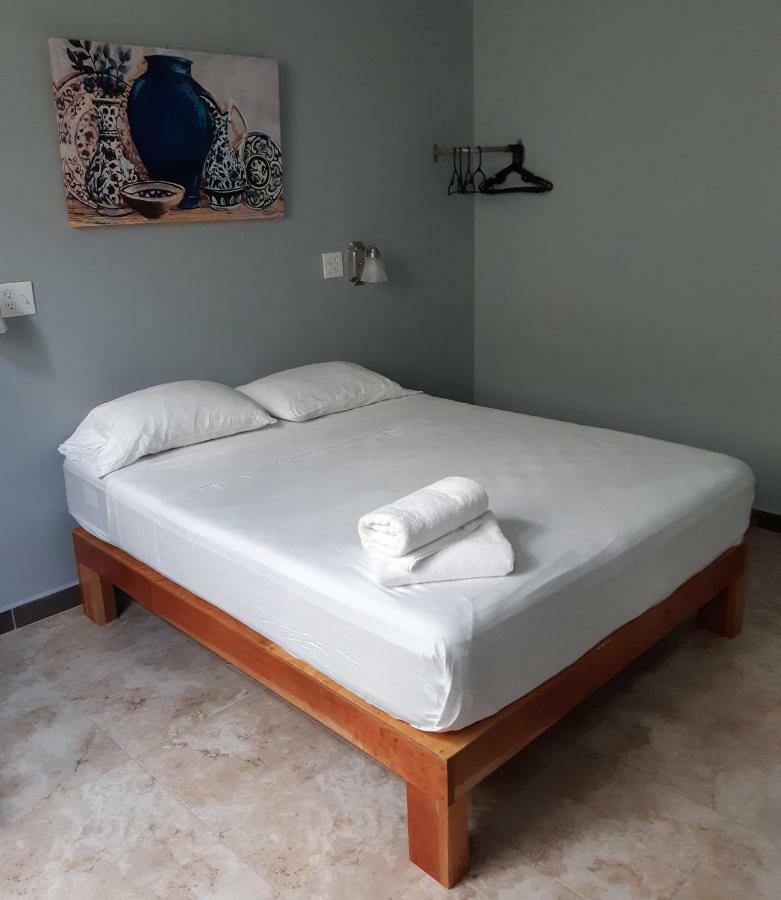 Maya Bella Downtown Hotel 圣伊格纳西奥 外观 照片